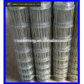 Anping DM high quality grassland fence/nets(best price)